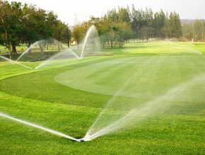 Tìm cơ sở chuyên chăm sóc cỏ sân golf TPHCM