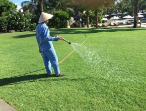 Quy trình chăm sóc cỏ sân golf đạt chuẩn kỹ thuật