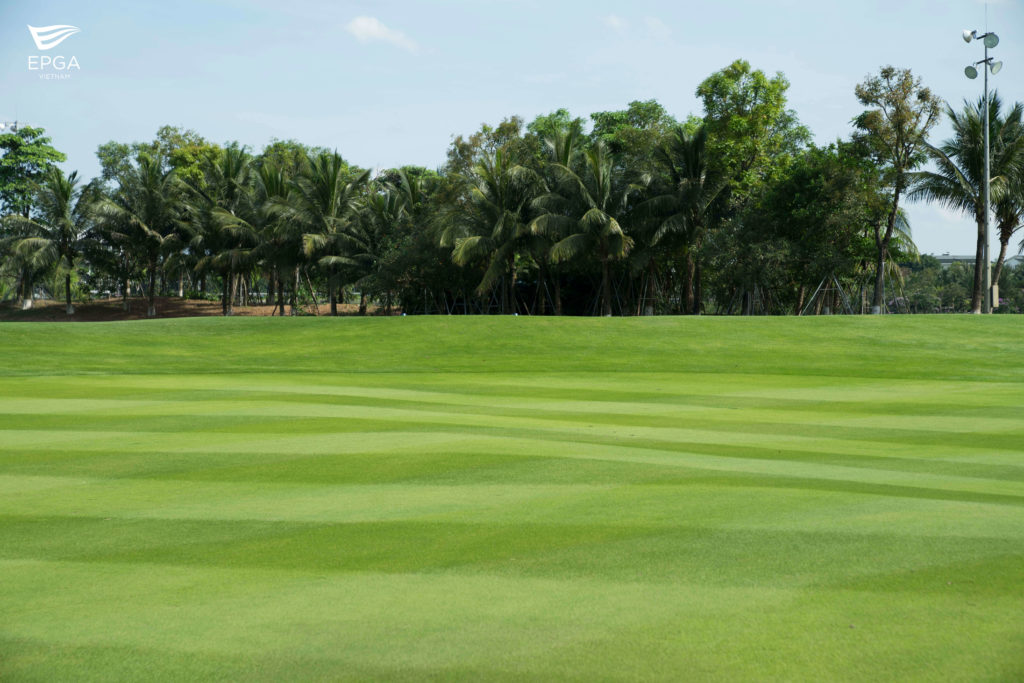 chăm sóc cỏ sân golf chất lượng