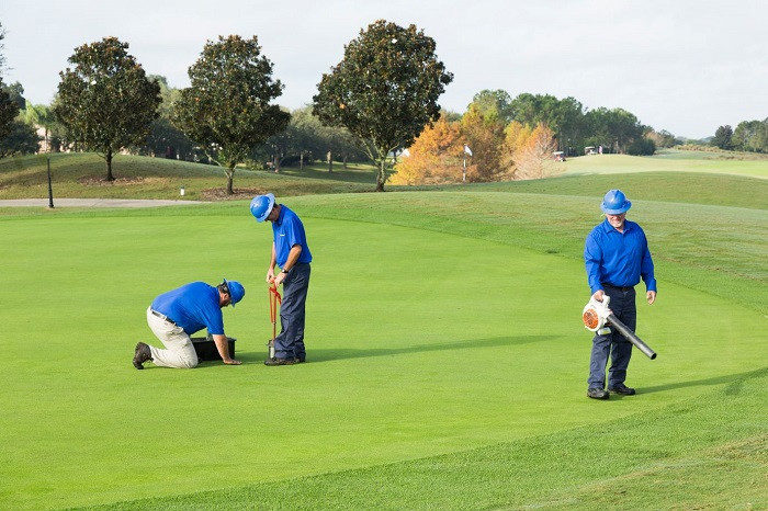 Chăm sóc cỏ sân golf chuyên nghiệp