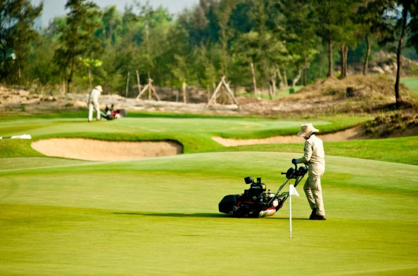 dịch vụ chăm sóc cỏ sân golf chất lượng