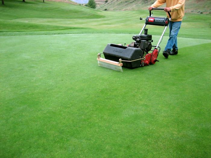 dịch vụ chăm sóc cỏ sân golf chất lượng 1