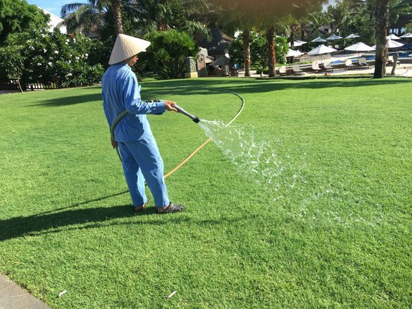 đơn vị chăm sóc cỏ sân golf quận 2