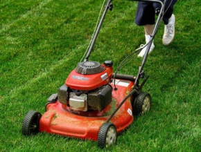 Kỹ thuật trồng và chăm sóc cỏ sân golf