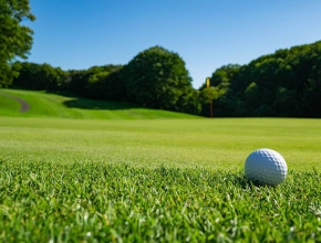 Công ty cung cấp dịch vụ chăm sóc cỏ sân golf chất lượng, đẹp, bền