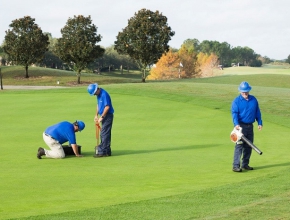 Tham khảo địa chỉ chăm sóc cỏ sân golf chuyên nghiệp