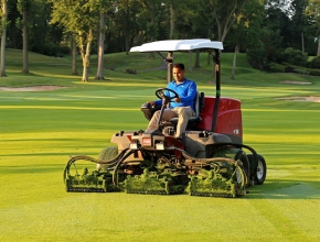 Khám phá công ty cung cấp cỏ sân golf chất lượng giá tốt