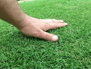 Mách bạn địa chỉ dịch vụ chăm sóc cỏ sân golf TPHCM