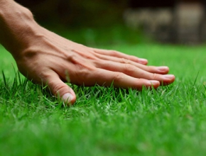 Tìm hiểu về kỹ thuật trồng cỏ sân golf đạt tiêu chuẩn